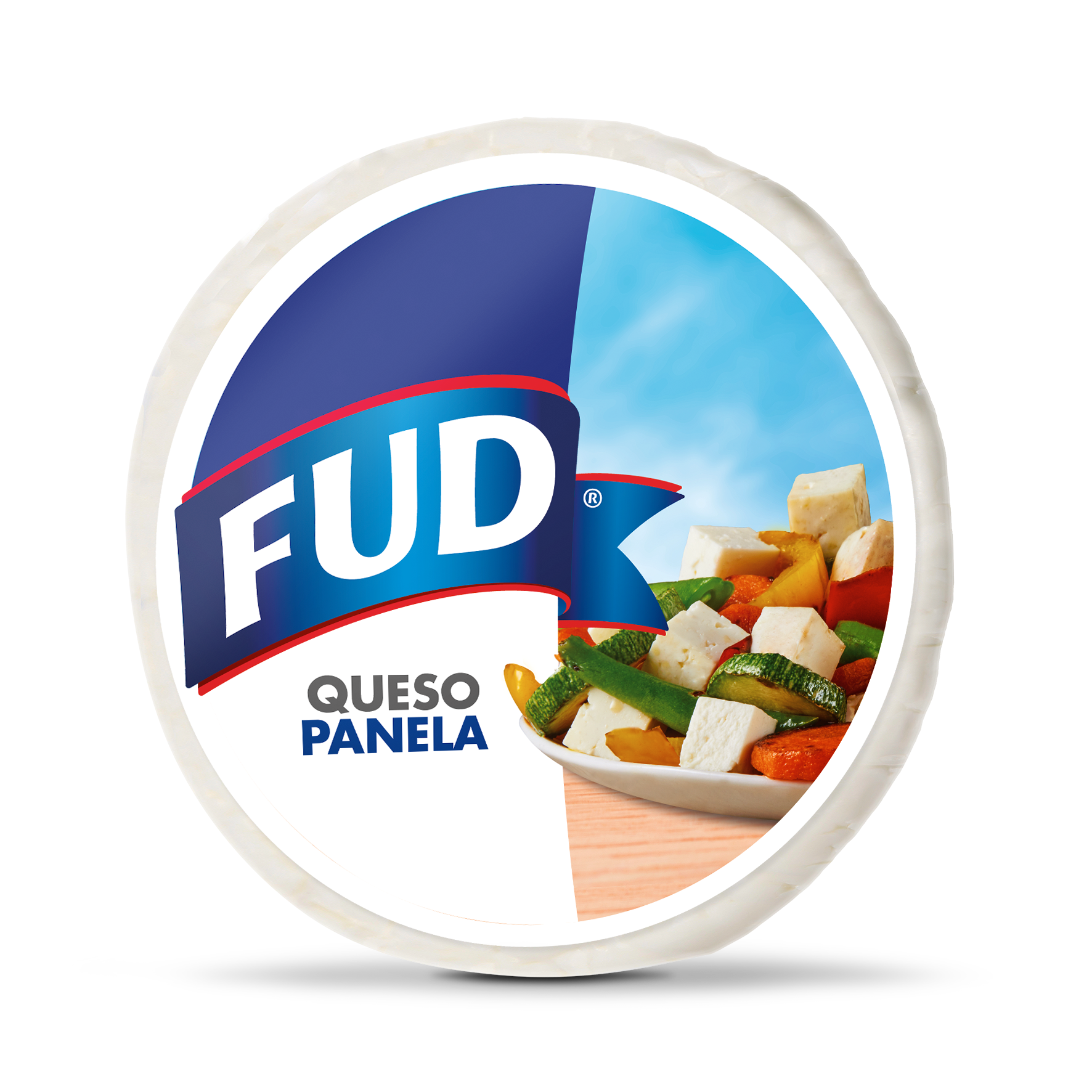 QUESO PANELA FUD